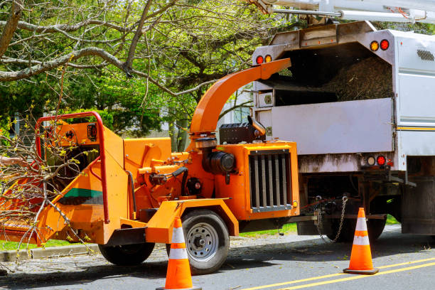 Best Tree Clearing Services  in Pennington Gap, VA